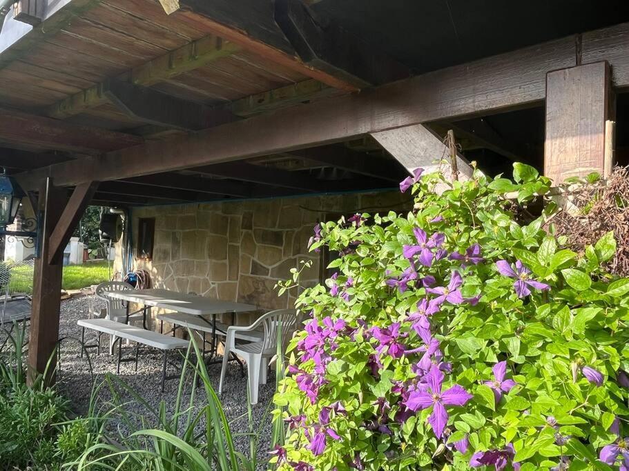 Studio Renove Rdc Terrasse Wepion Namur Eksteriør billede