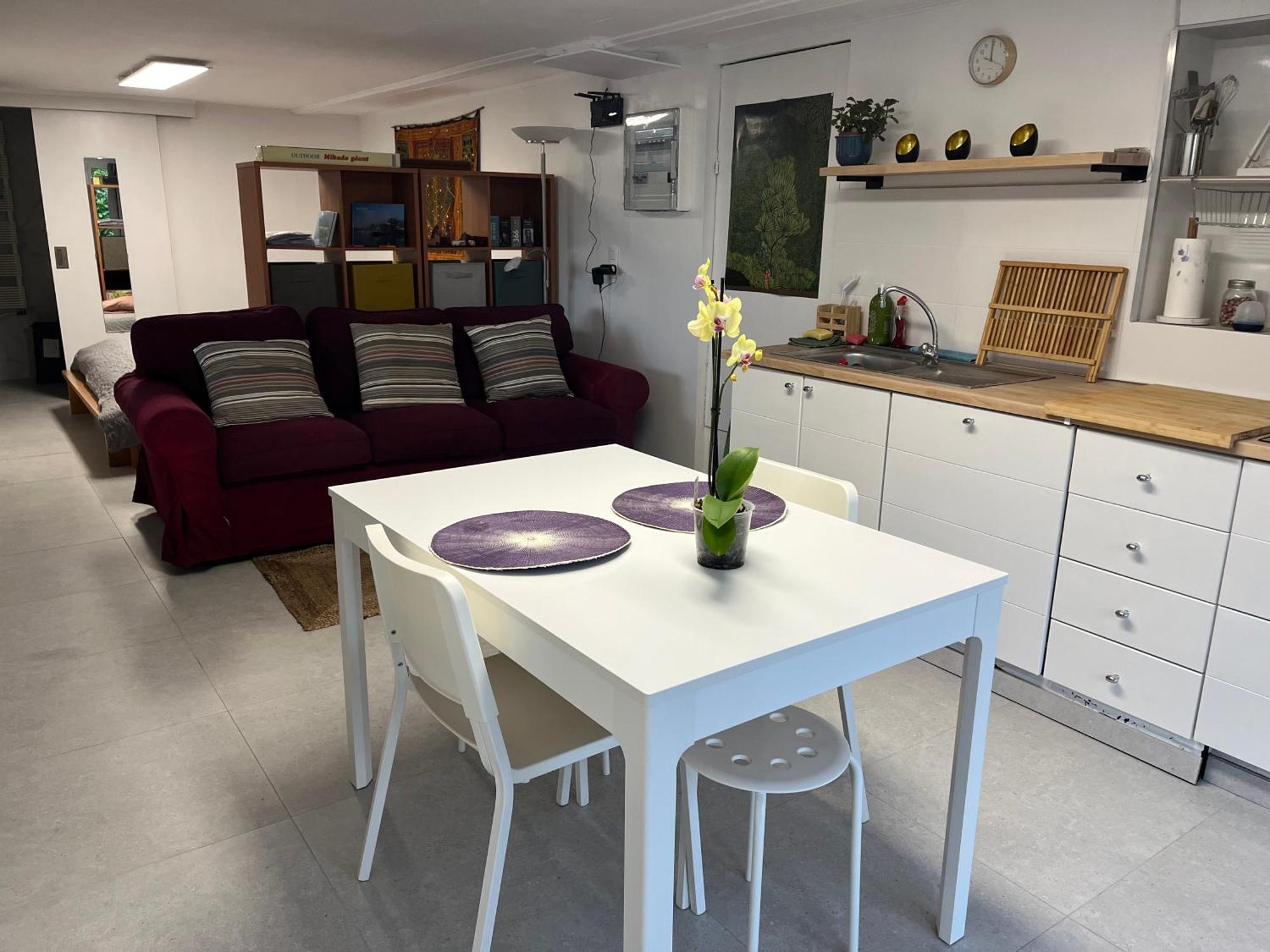 Studio Renove Rdc Terrasse Wepion Namur Eksteriør billede