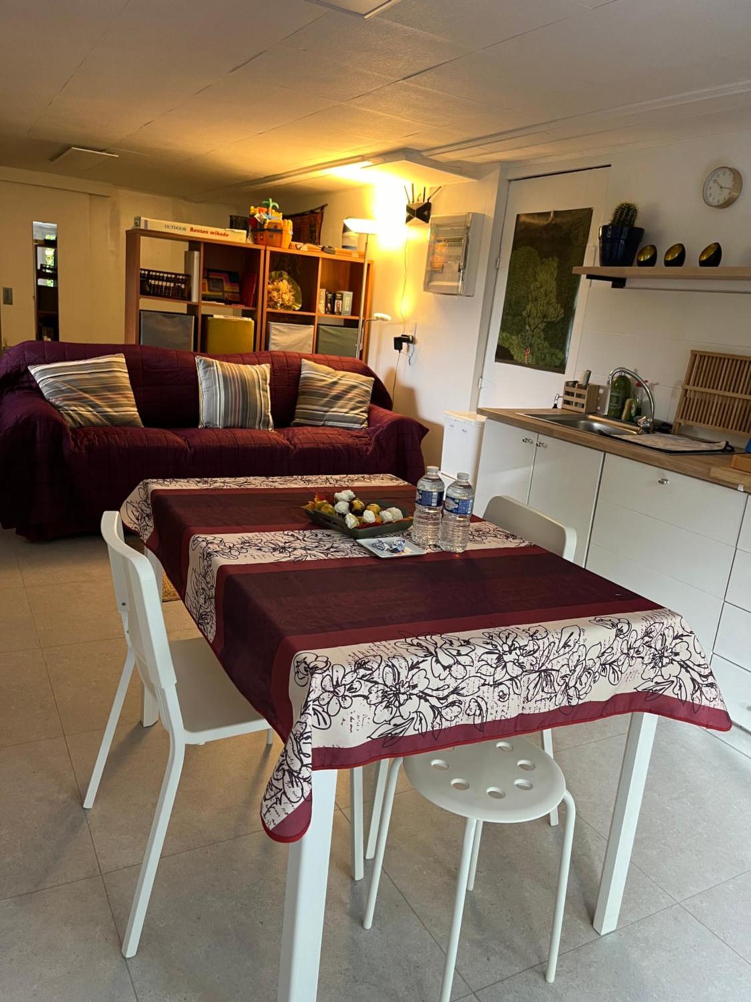 Studio Renove Rdc Terrasse Wepion Namur Eksteriør billede